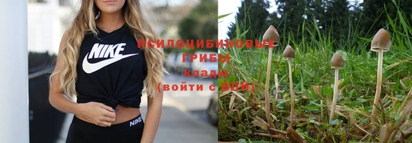 ALPHA PVP Михайловск