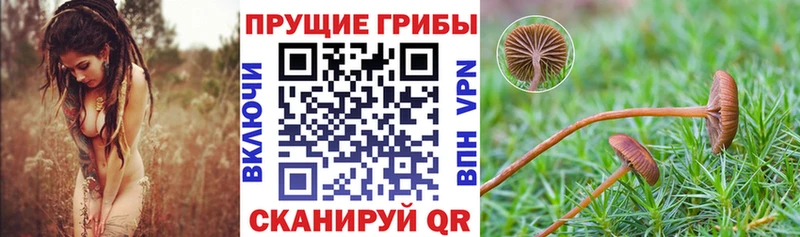 Псилоцибиновые грибы ЛСД  Луховицы 