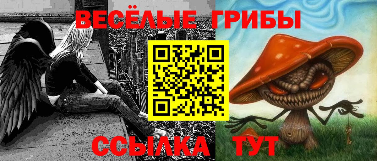 Псилоцибиновые грибы GOLDEN TEACHER Луховицы