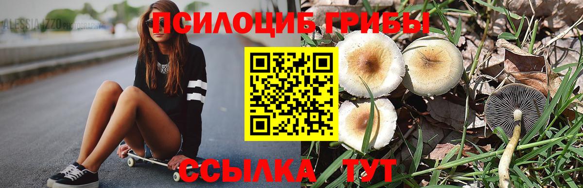 Псилоцибиновые грибы MAGIC MUSHROOMS  Галлюциногенные грибы Psilocybe  Луховицы  Вход с VPN 